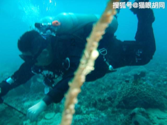 现在传奇世界还有私服吗